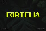 Product image of Fortella Modern Creative Sans