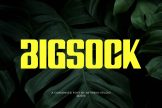 Product image of Bigsock Powerful Sans Serif Font