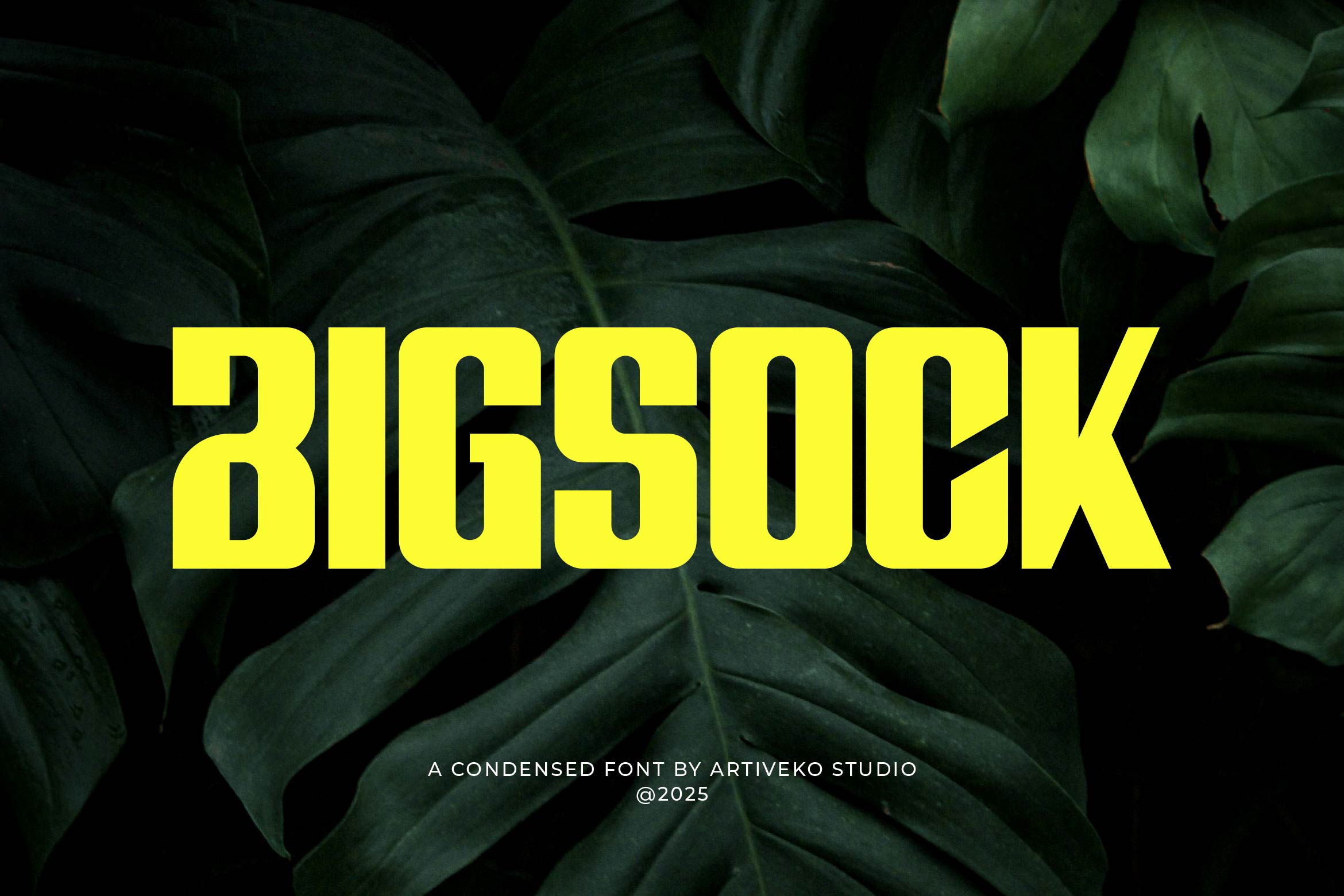 Bigsock previe 01