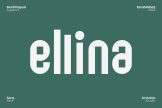 Product image of Ellina Creative Modern Sans Font