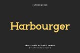 Product image of Harbourger Timeless Serif Family