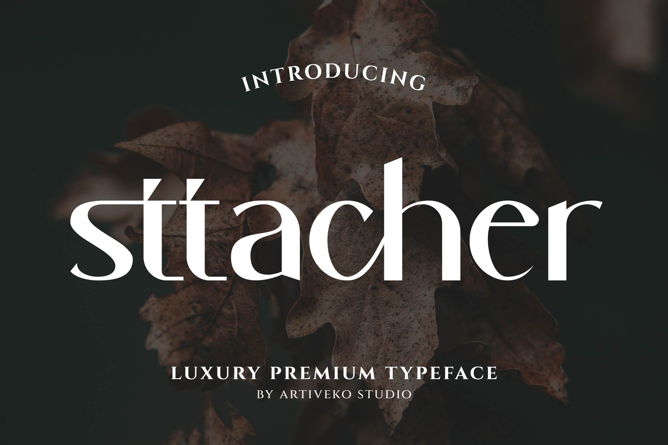 Sttacher preview 01
