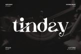 Product image of Tinday Premium Serif Font