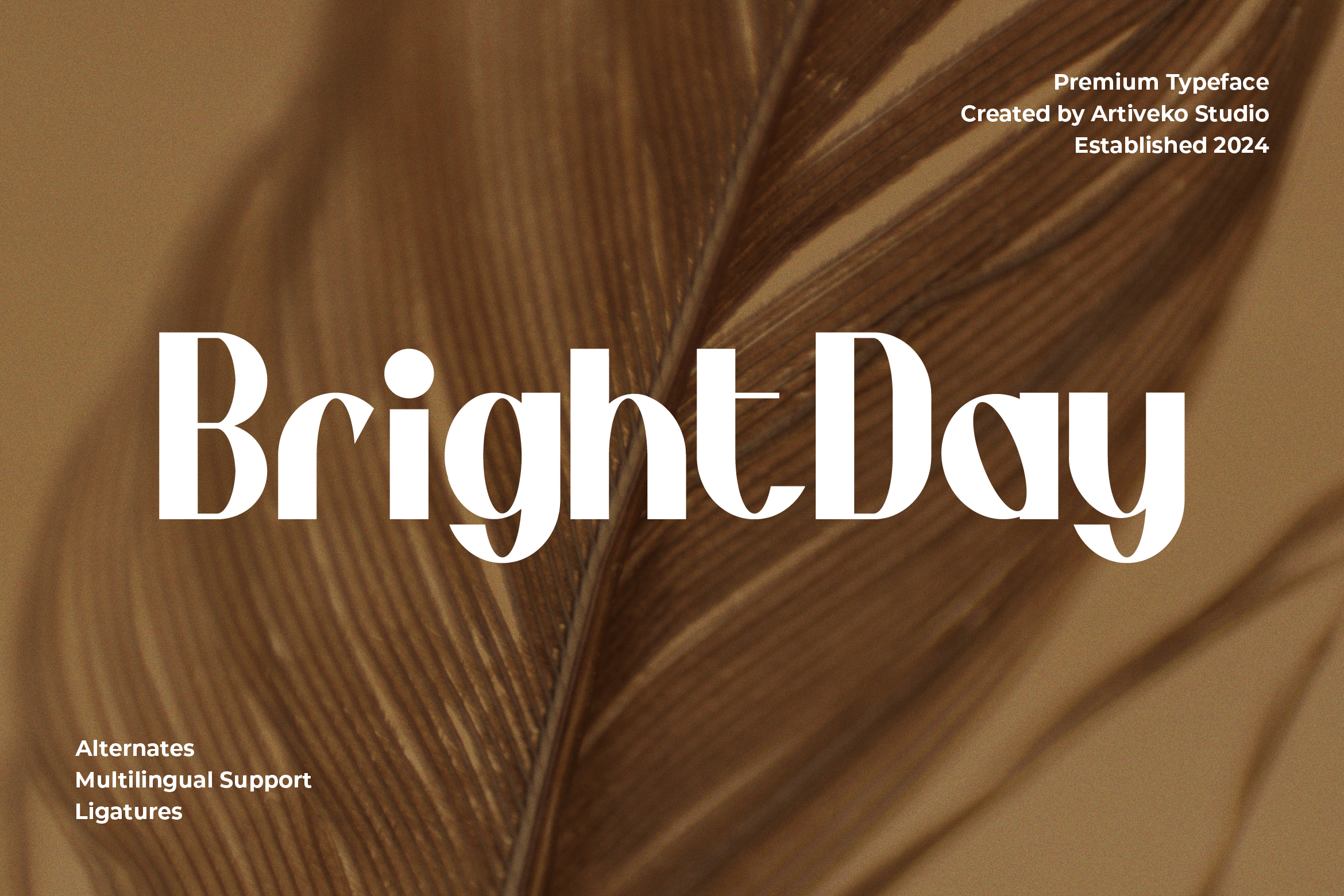 BrightDay Preview 01