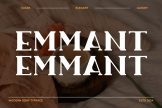 Product image of Emmant Luxury Serif Font