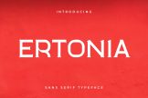 Product image of Ertonia Clean Serif Font
