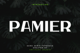 Product image of Pamier Sleek Sans Serif Font