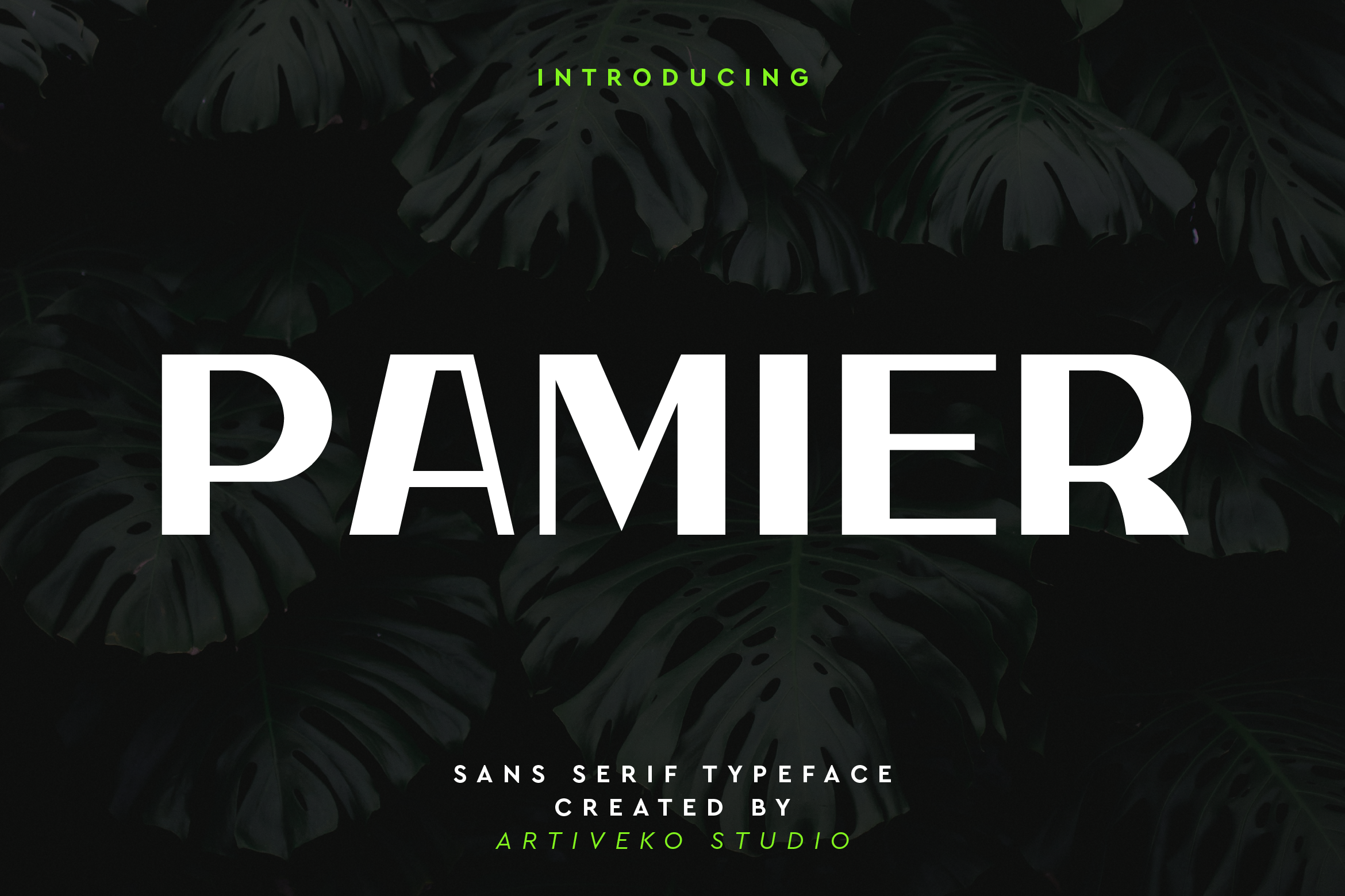 Pamier preview 01