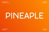 Product image of Pineaple Modern Sans Serif Font