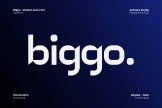 Product image of Biggo Sophisticated Sans Font