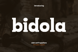 Product image of Bidola Bold Serif Font