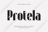 Product image of Protela Contemporary Sans Serif Font