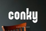Product image of Conky – Friendly Sans Serif for Modern Branding & Social Media