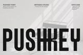 Product image of Pushkey – Condensed Sans Serif for Headlines & Posters