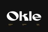 Product image of Okle – Creative Display Font