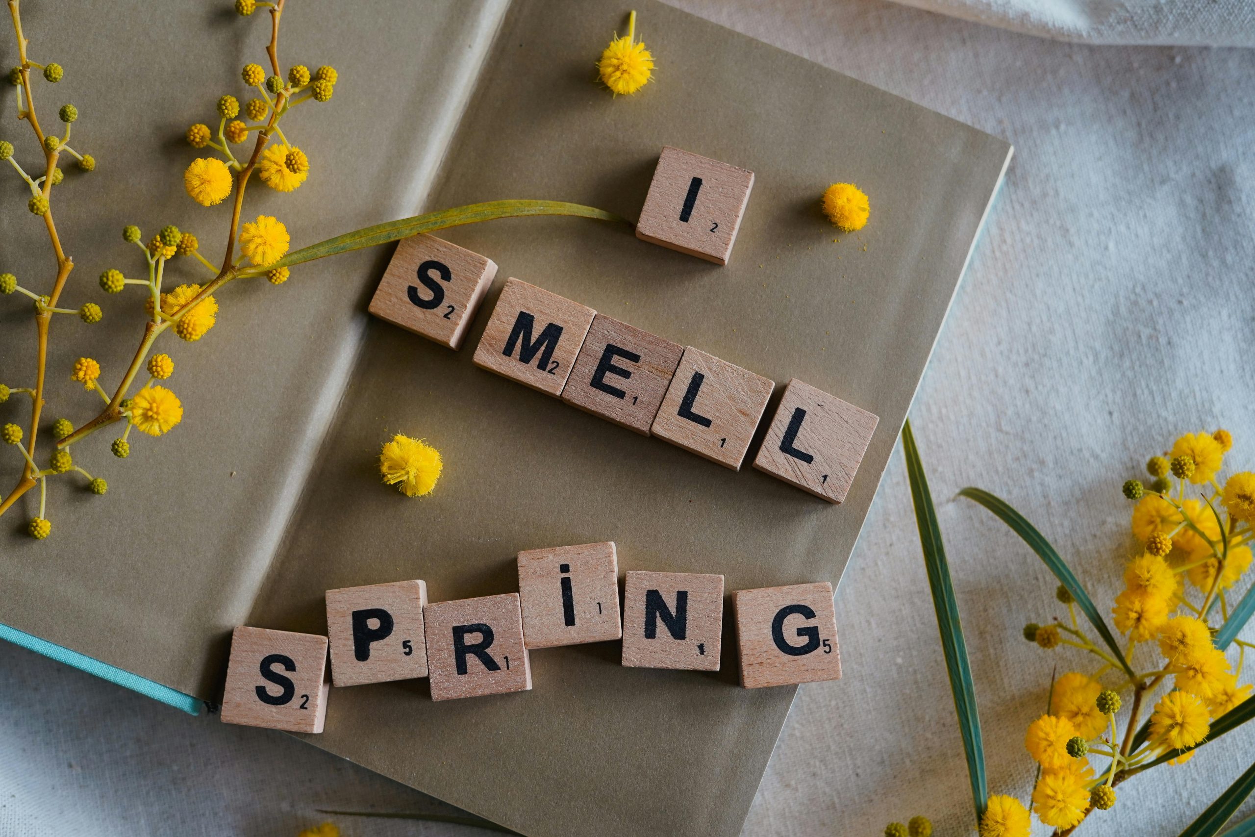 How Typography Creates Fresh Visual Identity