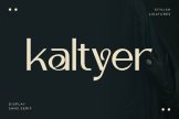 Product image of Kaltyer – Stylish Display Typeface