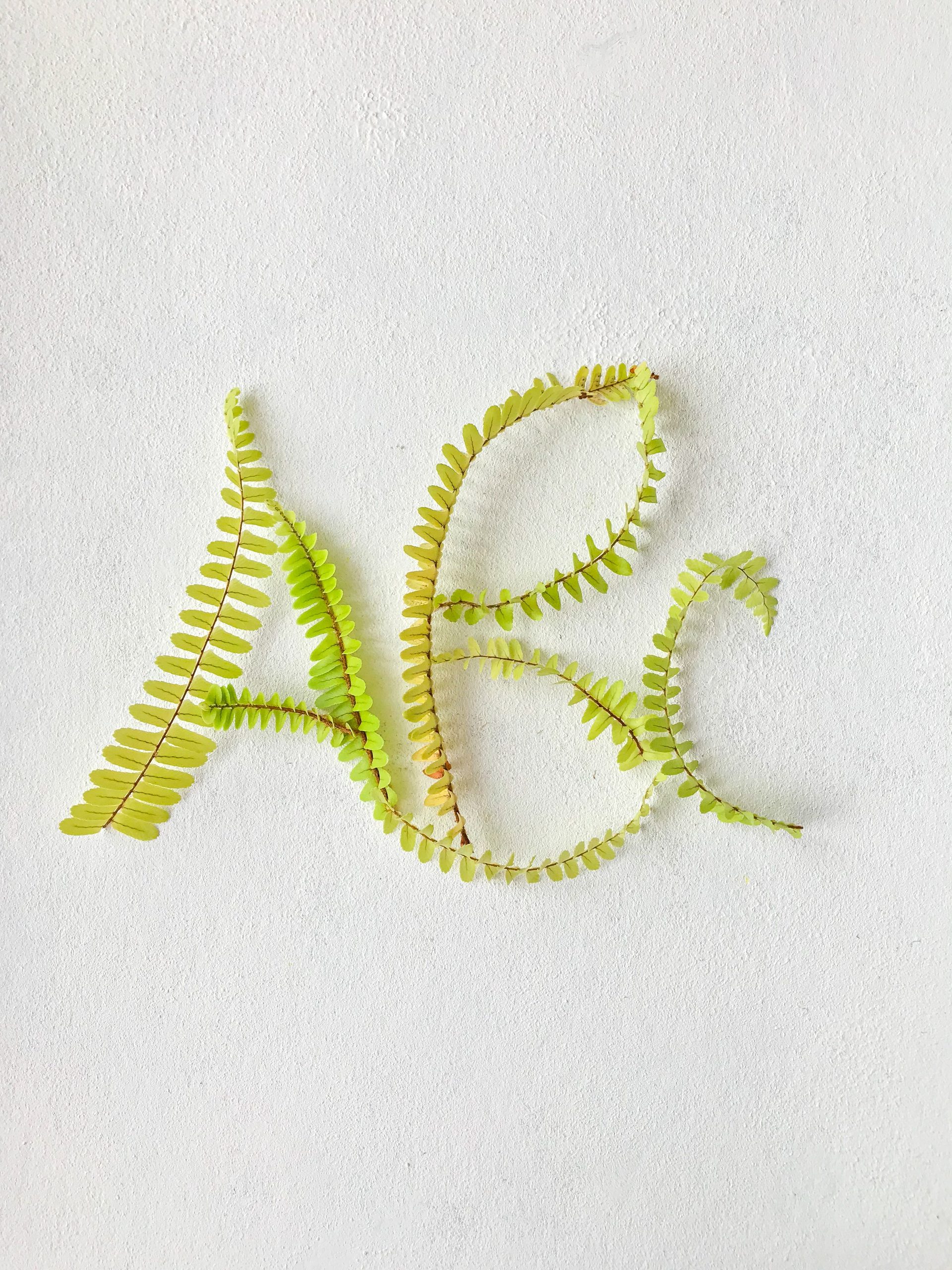 2026 Botanical Font Trends: Why Artiveko Collection is the Top Choice for Designers