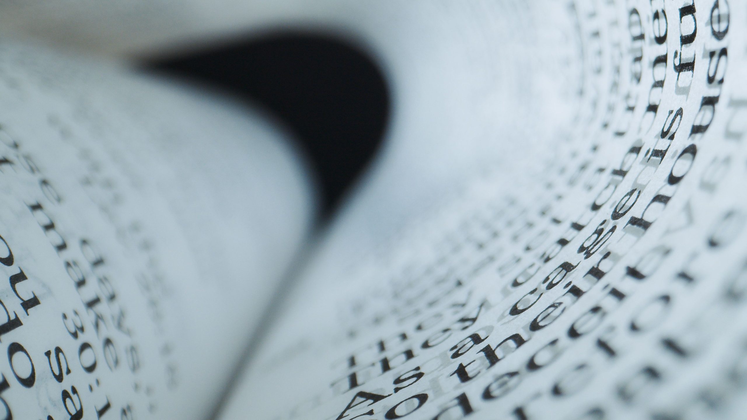 Why Custom Fonts Are the Ultimate ROI Driver for 2026 – A Data‑Backed Guide