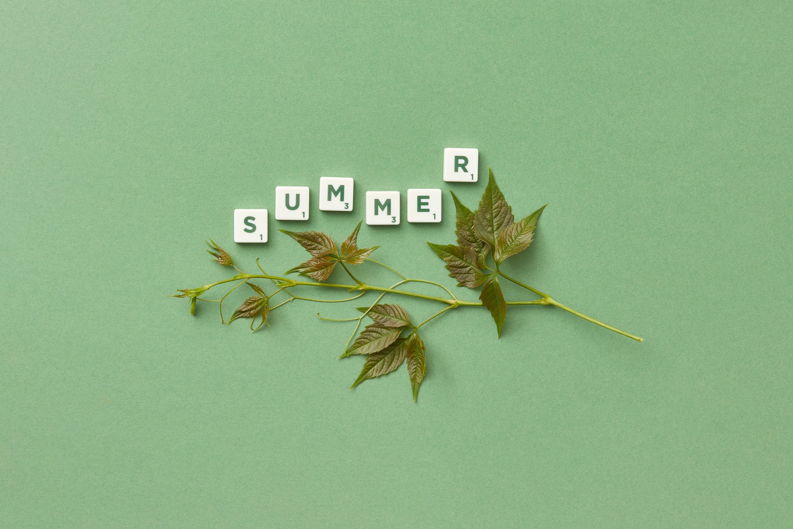 Integrating Botanical Vectors and Typography in 2027 Branding